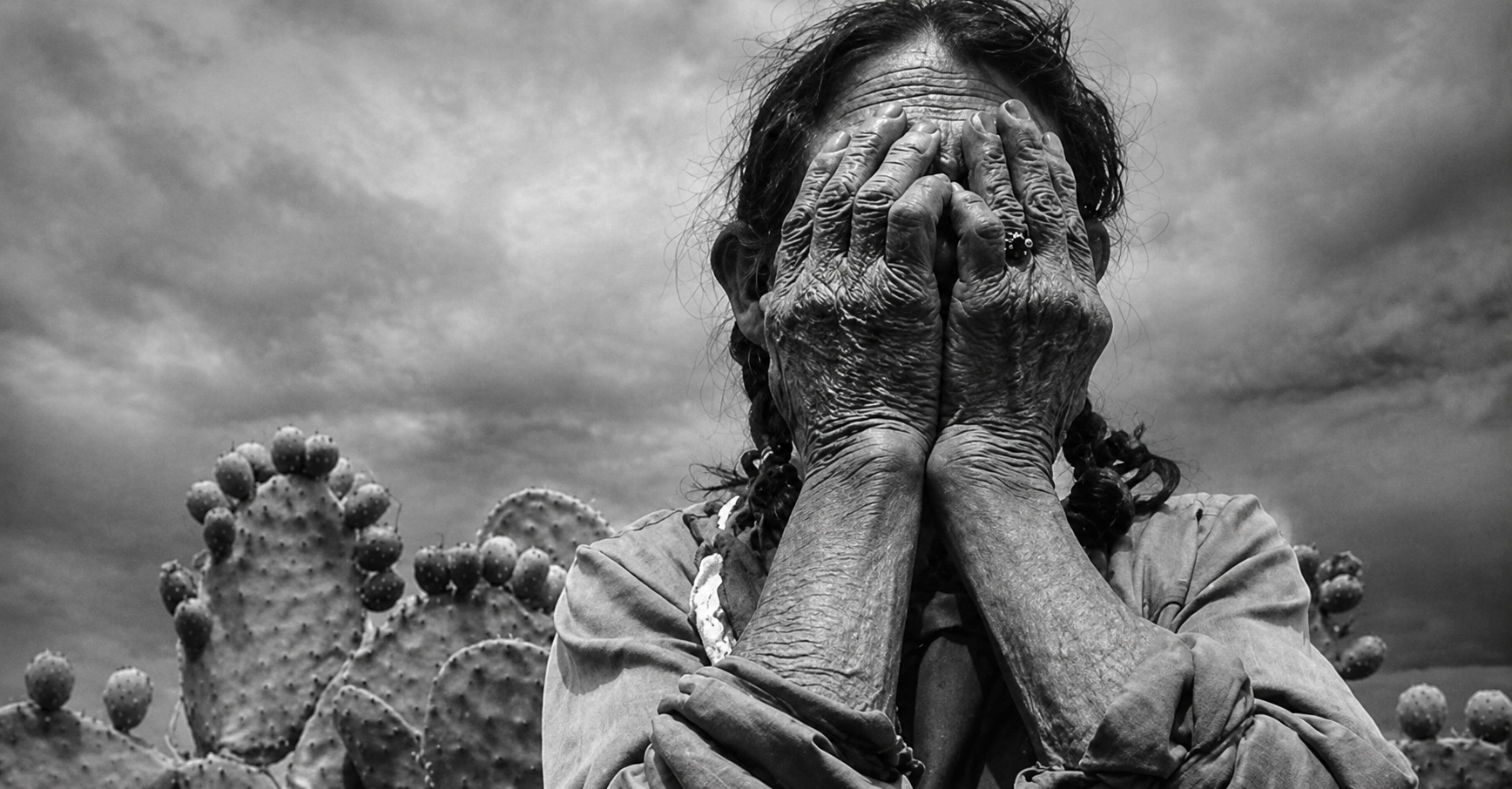 La Semilla del Miedo project image